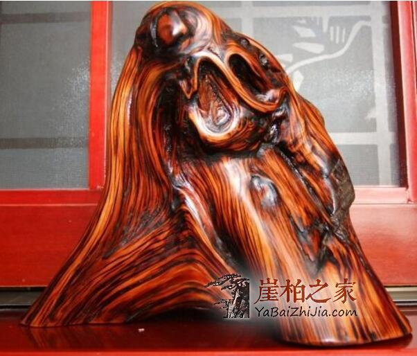 崖柏也要天天洗脸,周周洗澡,这些你都造吗?-2