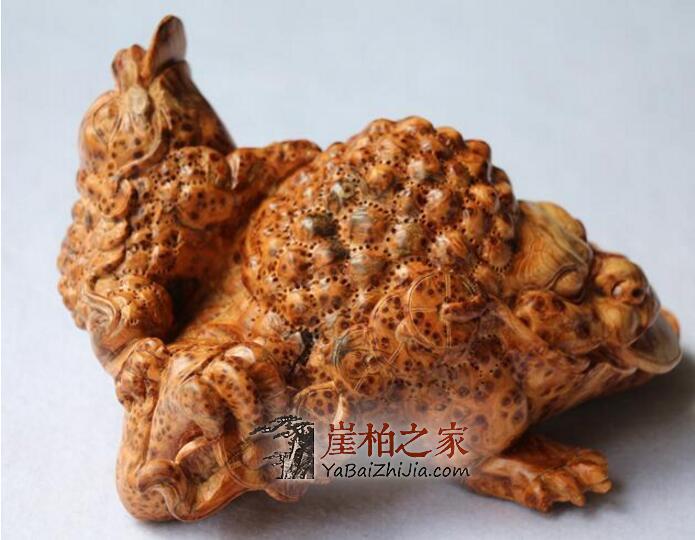 崖柏也要天天洗脸,周周洗澡,这些你都造吗?-4