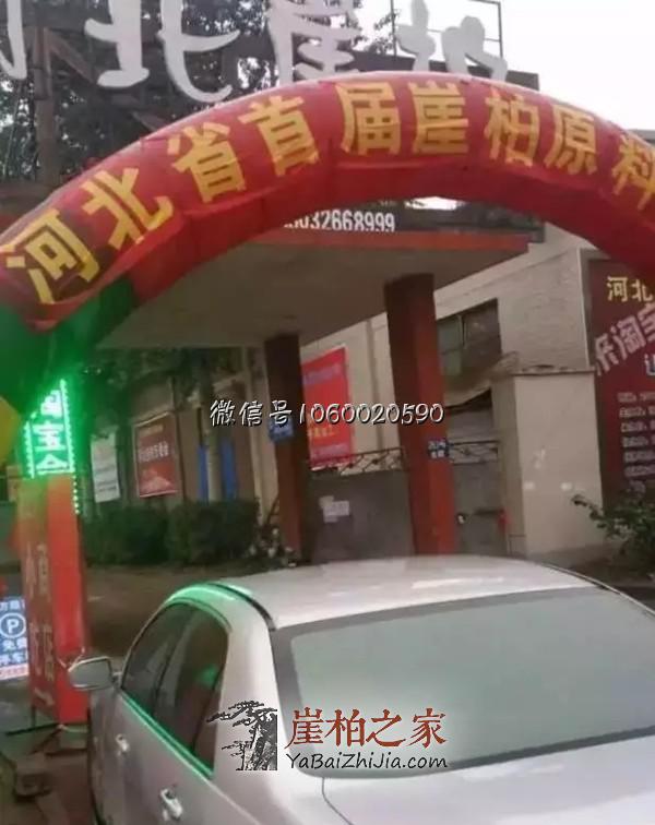 崖柏原料淘宝会有感:崖柏荒的时代将要来临了!