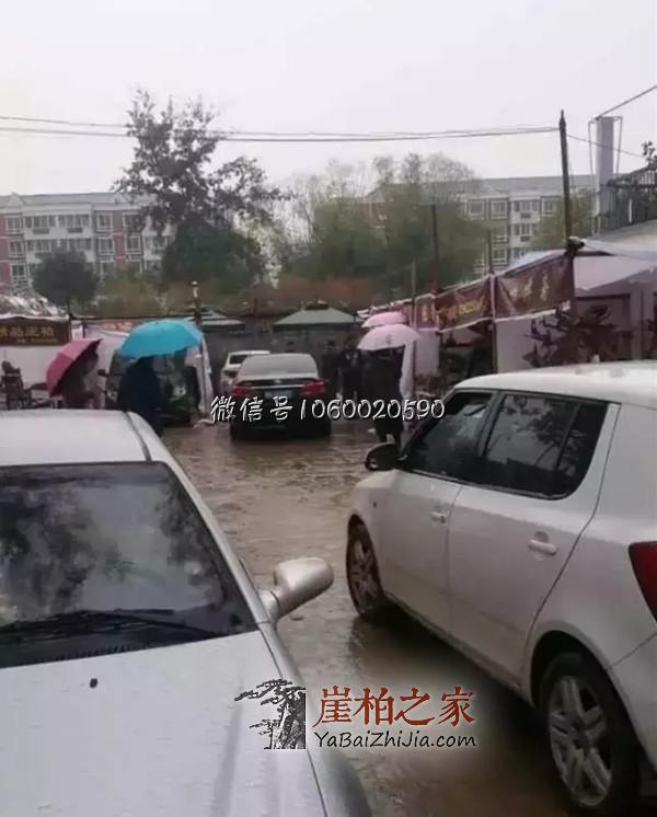 崖柏原料淘宝会有感:崖柏荒的时代将要来临了!