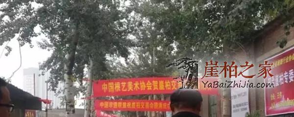 崖柏原料淘宝会有感:崖柏荒的时代将要来临了!