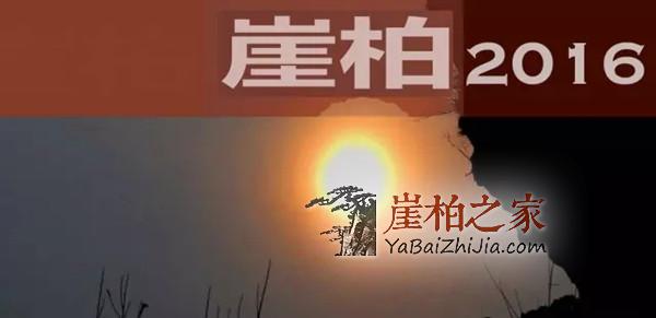 未来成熟崖柏市场,毛料和成品谁主沉浮?