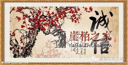 崖柏圈的规矩,看看哪些人不愿意做你的生意
