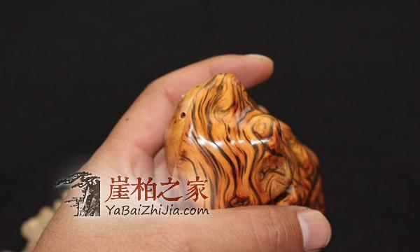 1491986600721212.jpg