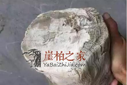 1491990151836537.jpg 1-8.jpg
