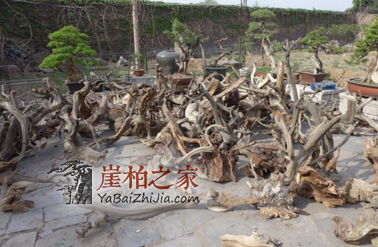 1492051266589019.png QQ截图20170413104103.png