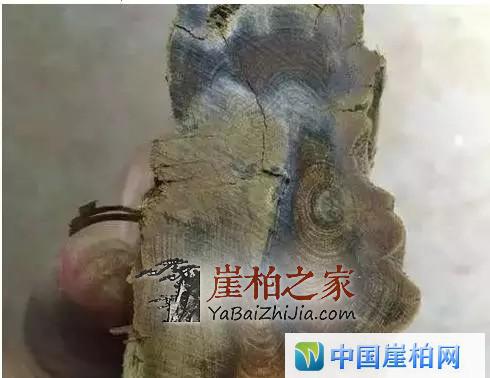 崖柏开料扯珠子!本来就是个赌局!
