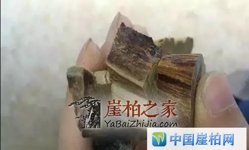 崖柏开料扯珠子!本来就是个赌局!