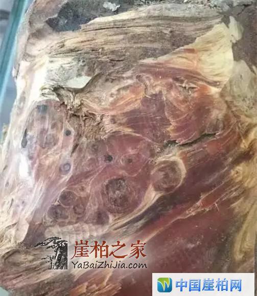 崖柏开料扯珠子!本来就是个赌局!