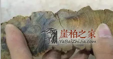 崖柏开料扯珠子!本来就是个赌局!