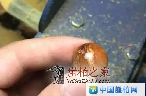 崖柏开料扯珠子!本来就是个赌局!