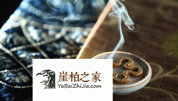 沉香养命,崖柏保命