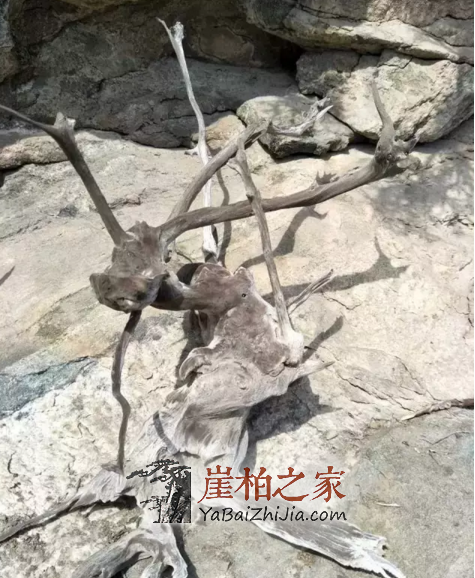 1492586388582521.png QQ截图20170419151758.png