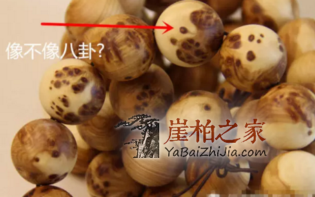 崖柏的纹路都有哪些?-4