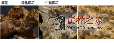 崖柏的纹路都有哪些?-8