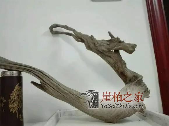 1492746399834171.jpg ‘’;pji.jpg