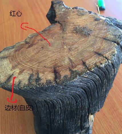 崖柏老料生料陈化料的区别