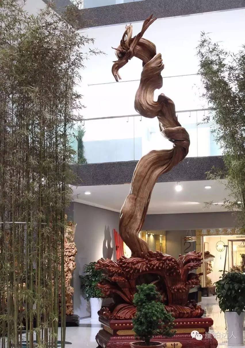 这些价值过亿的崖柏精品让你感受什么是沧桑下的飘逸