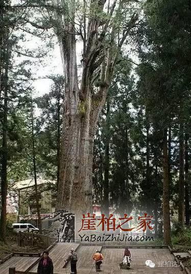 1493276688115208.jpg 8.jpg