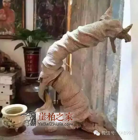 崖柏精品欣赏 崖柏扭起来有多漂亮