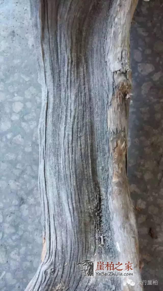 1493779422169287.jpg 2.jpg