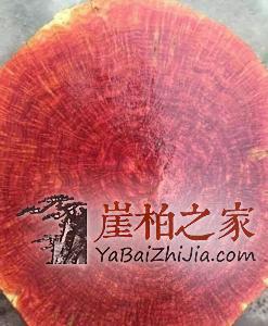 涨知识!挑选辨别崖柏的方法原来是这样的!-1