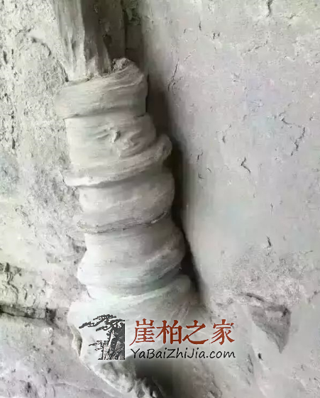 1493887505237922.png 17.png