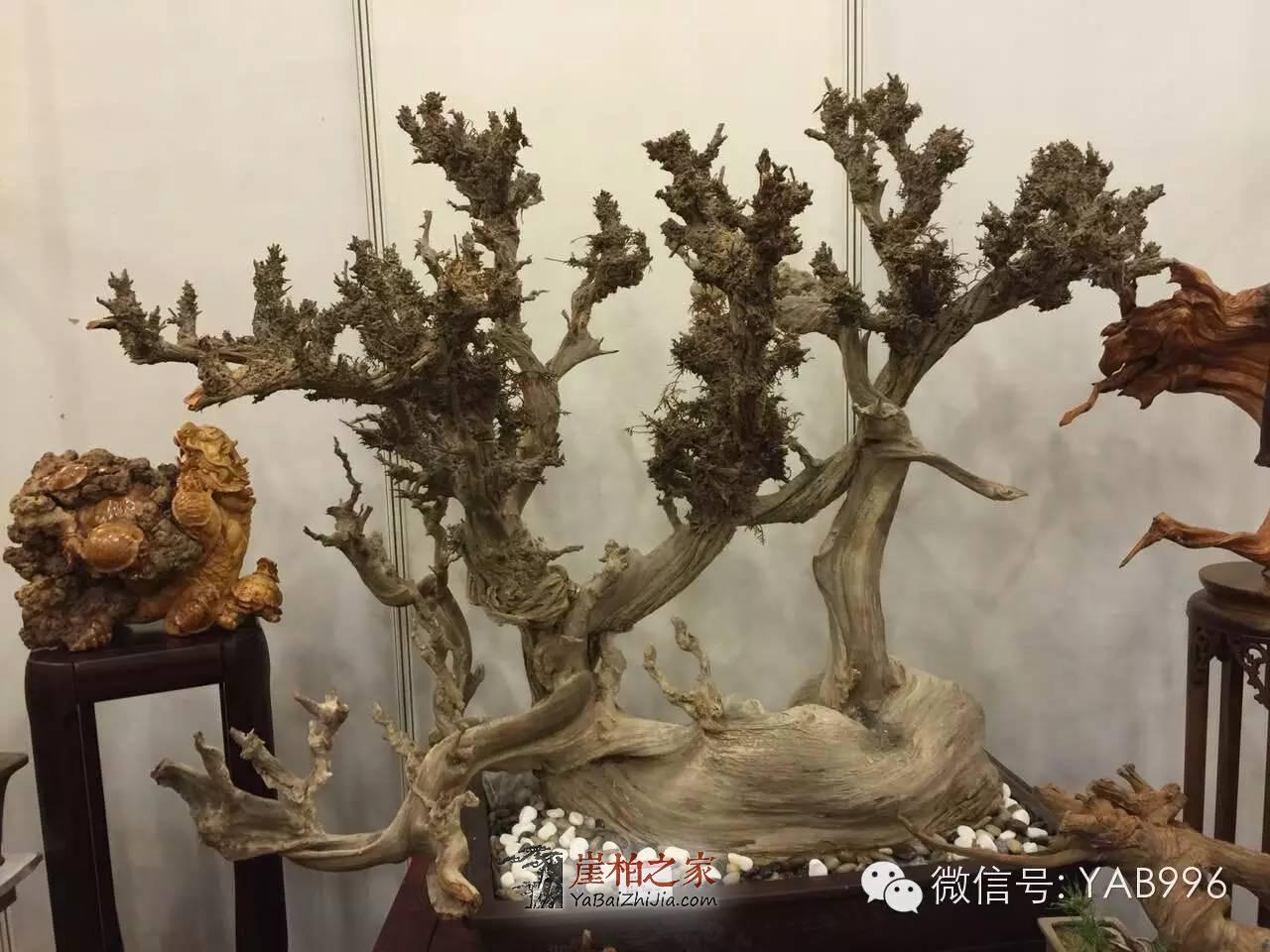 崖柏玩的到底是什么?崖柏的精气神你了解多少