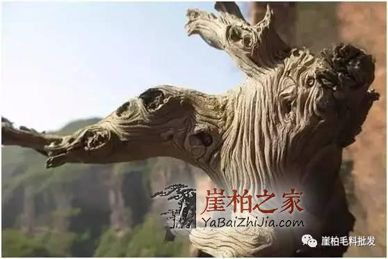 1493889971895061.jpg 微信图片_20170504172617.jpg