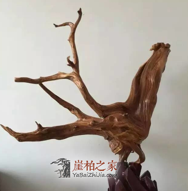 1493953326812956.png QQ截图20170505110219.png