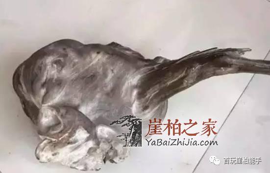 1493961893651242.jpg 微信图片_20170505132338.jpg