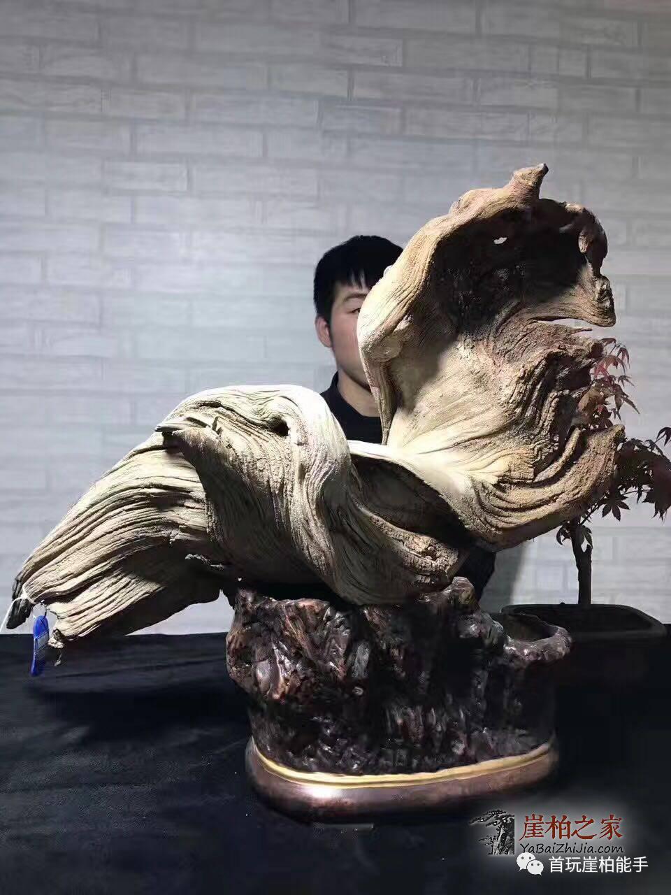 1493962201544007.jpg 微信图片_20170505132640.jpg