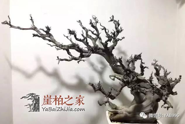 1494471928744019.jpg 微信图片_20170511110625.jpg
