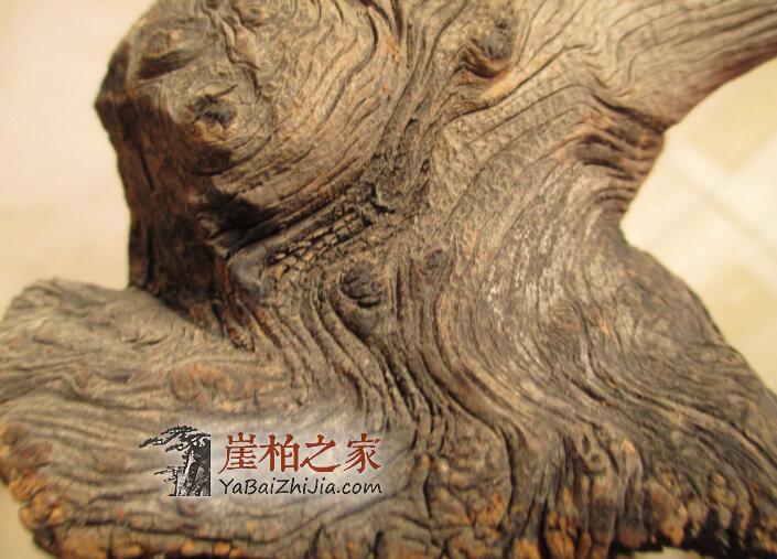 1494490319750517.jpg QQ截图20170511161250.jpg