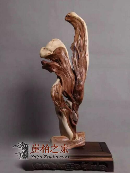 1494571859133006.jpg QQ截图20170512145134.jpg