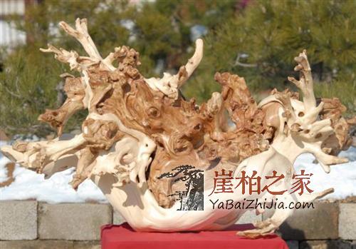 1494813033636655.jpg 0_xinbaoyuan_6607_20141120165418.jpg