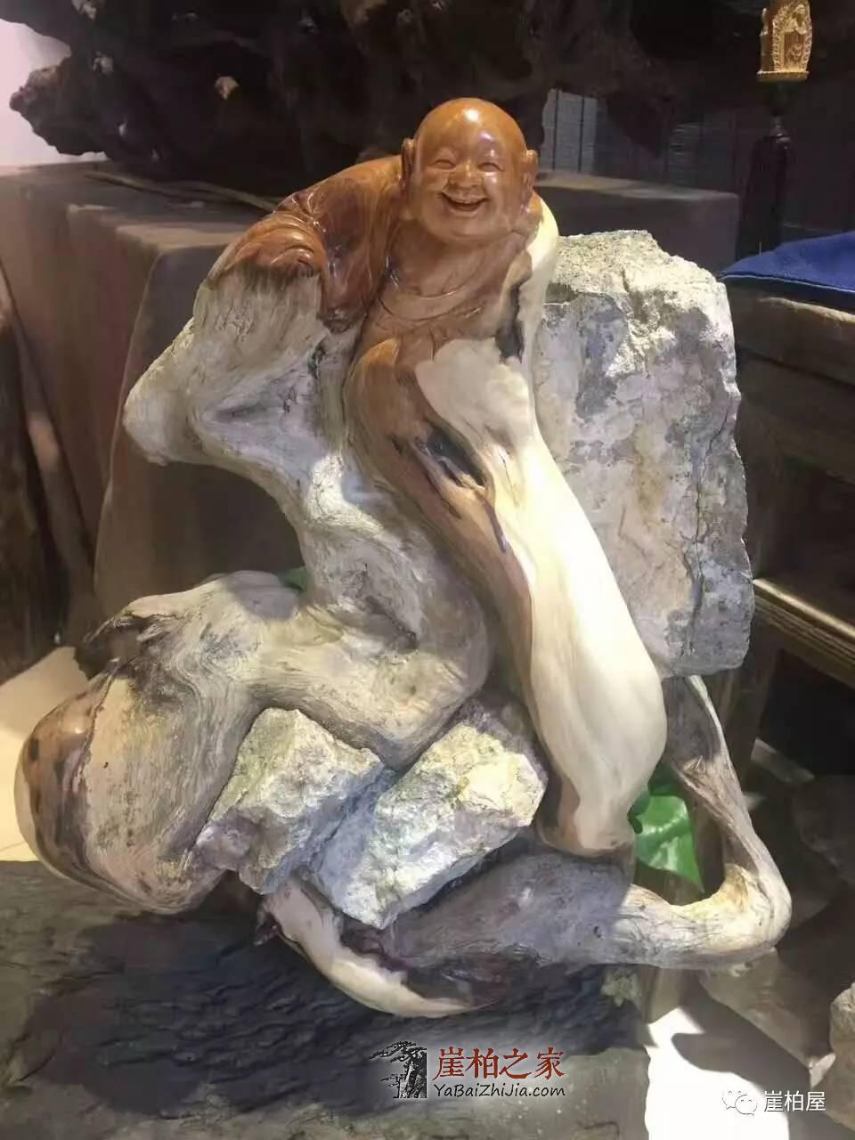什么是明星崖柏?明星崖柏怎么选择?-1