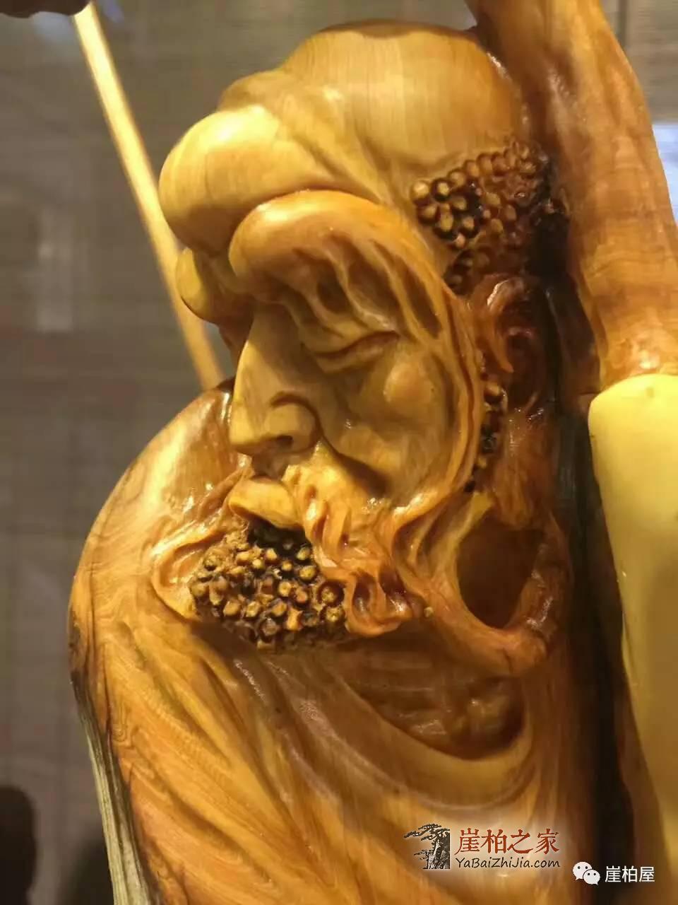 什么是明星崖柏?明星崖柏怎么选择?-3