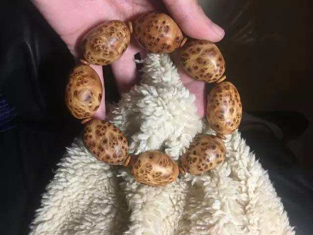 初玩者把玩崖柏几个常见的问题！