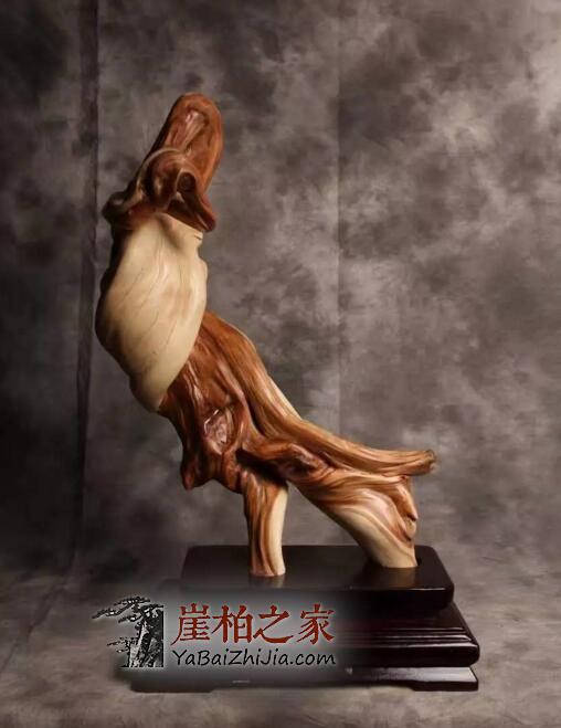 1494921287124916.jpg QQ截图20170516155555.jpg
