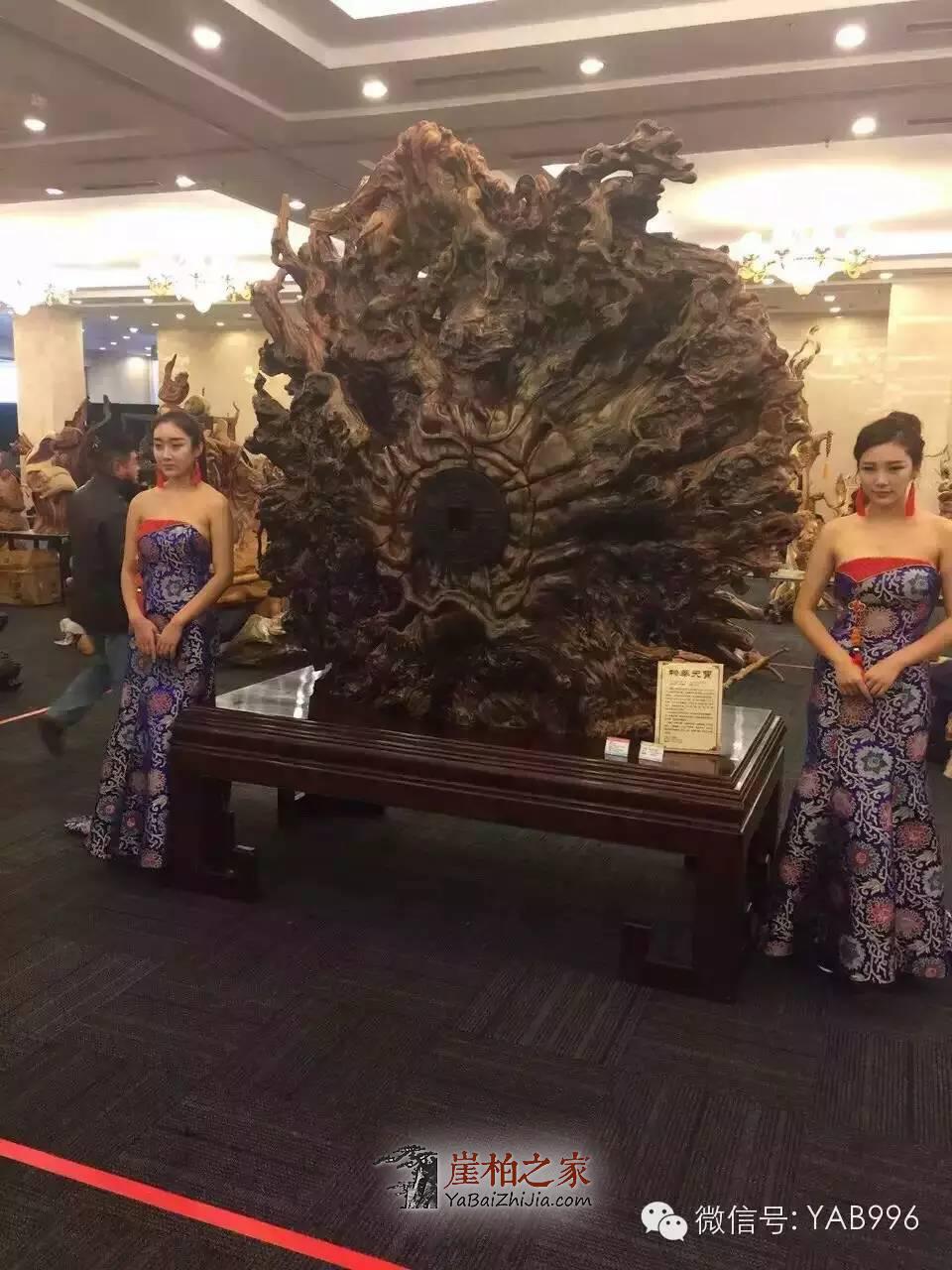 1494985720138484.jpg