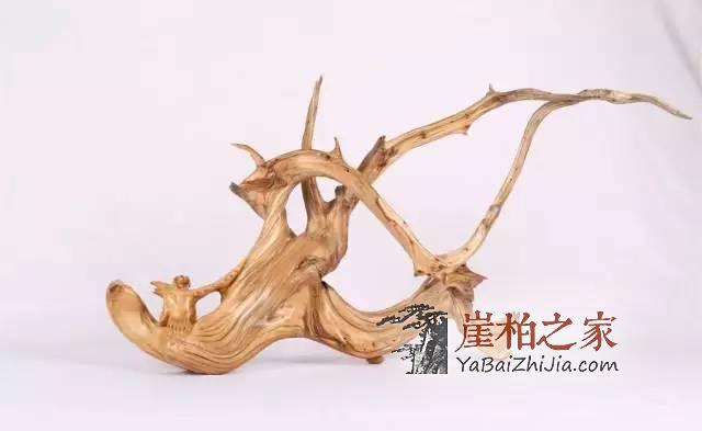 你是崖柏界的老司机吗?看这5点就知道了-1