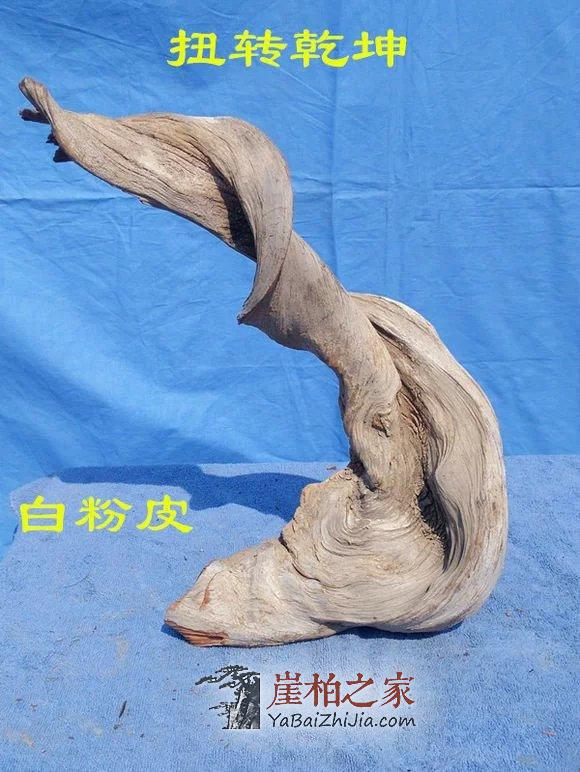 挑选崖柏毛料的技巧,你知道多少-2