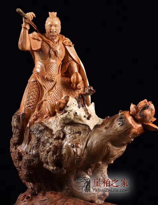 崖柏很火,可是你真的了解崖柏吗?-1