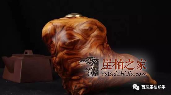 你的崖柏没有香味?小编教你正确了解崖柏香味-1