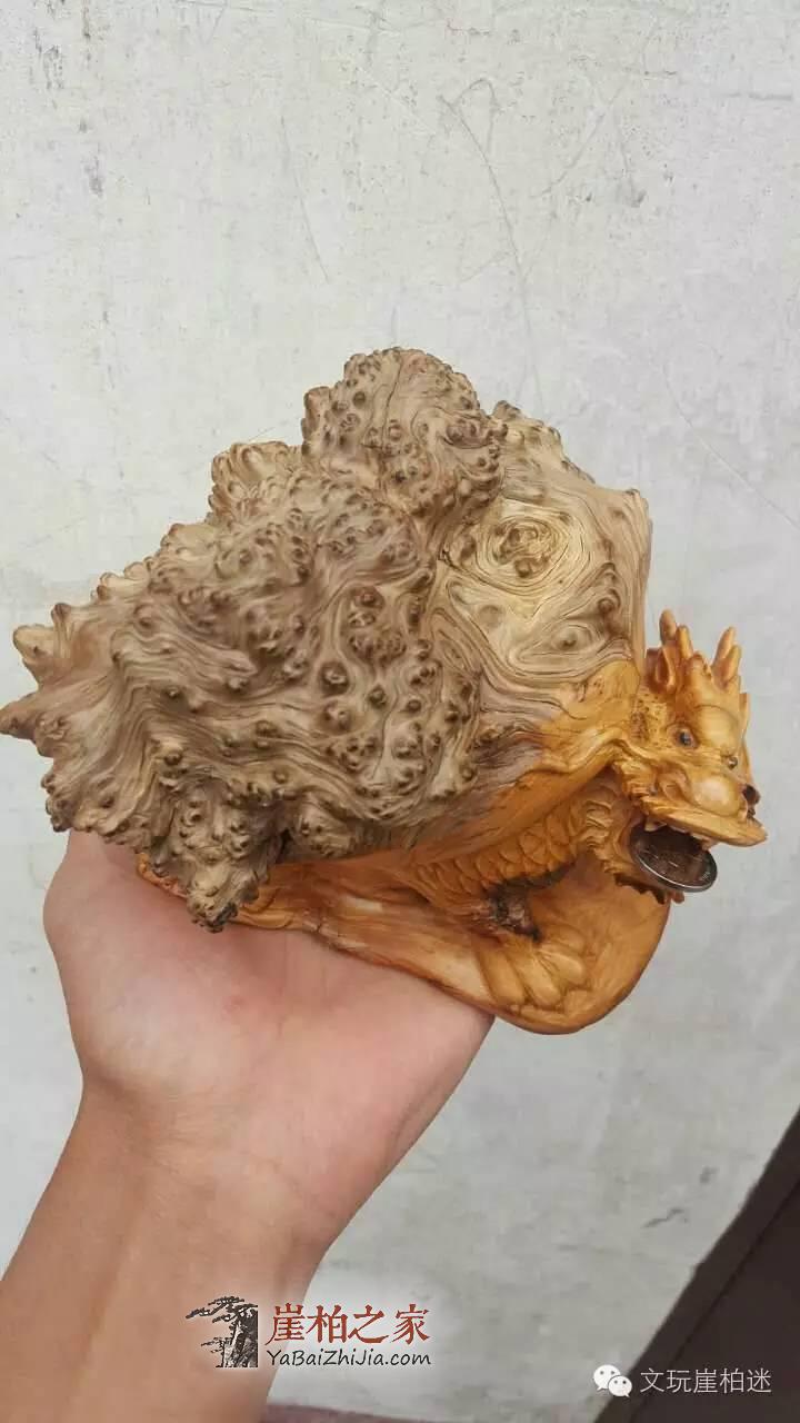 崖柏根艺根雕的精髓你真的读懂了吗?-1