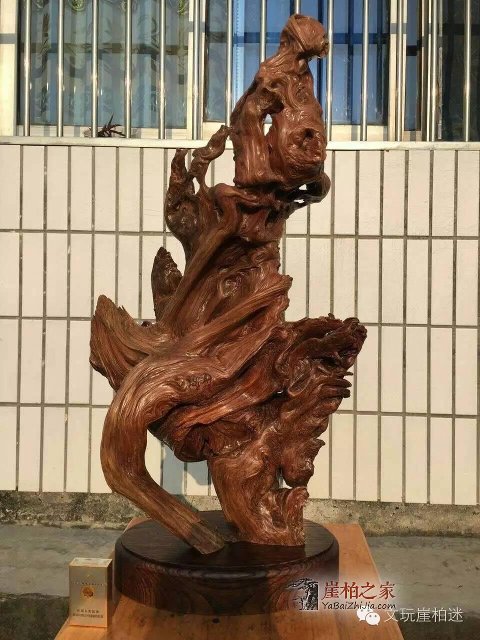 崖柏根艺根雕的精髓你真的读懂了吗?-3