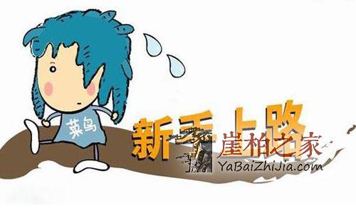 新手柏友玩崖柏经常会问那几个问题?