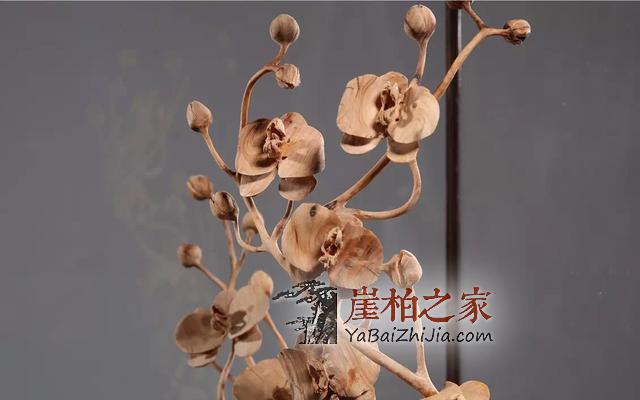 四步骤教你鉴赏崖柏的根雕艺术-3