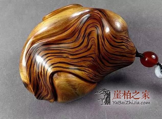 你是否也中了崖柏的毒?崖柏五大特性介绍-1
